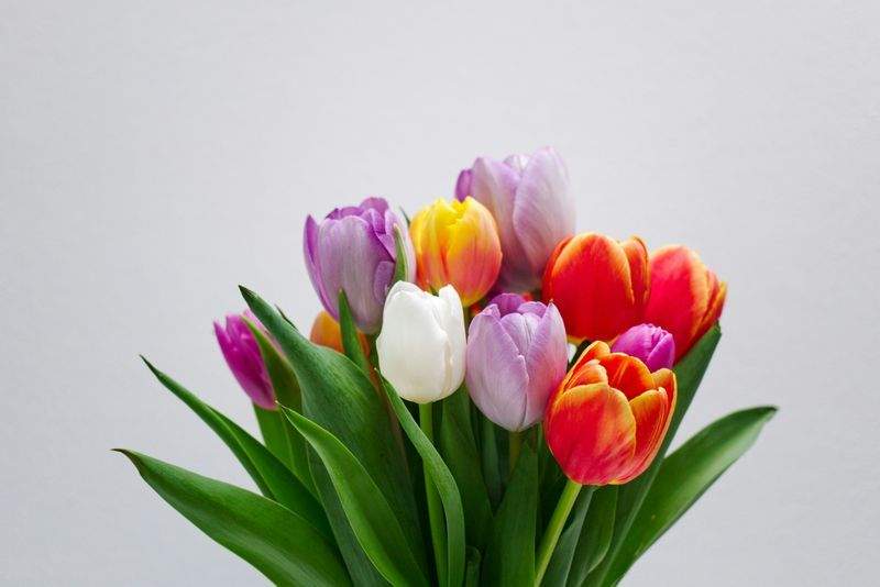 BlomsterHjørnet - Image 2
