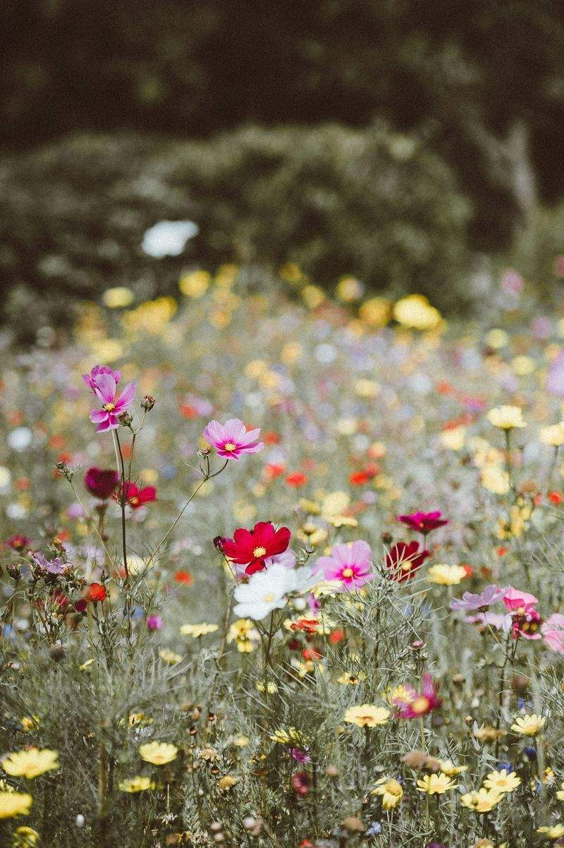 BlomsterHjørnet - Image 4