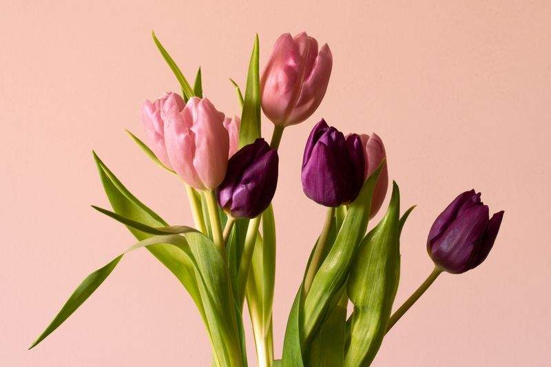 Bryllupsblomster